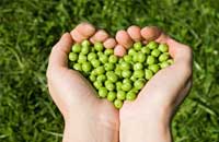 Image depicting Health Literacy